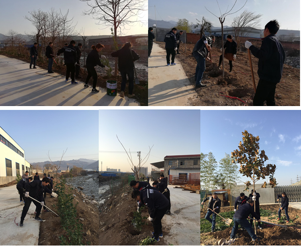 寶雞捷銳“迎春風，綠家園”植樹節(jié)(圖1)