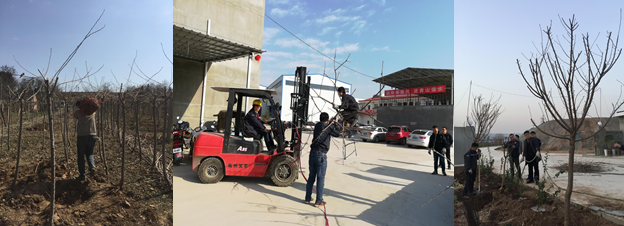 寶雞捷銳“迎春風，綠家園”植樹節(jié)(圖2)